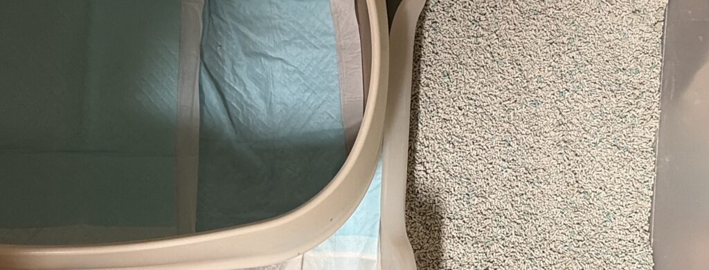 猫砂のトイレとペットシーツのトイレを2つ並べた様子